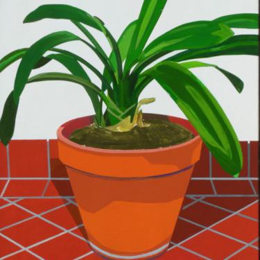 Plante en pot, 2014, acryl sur toile
